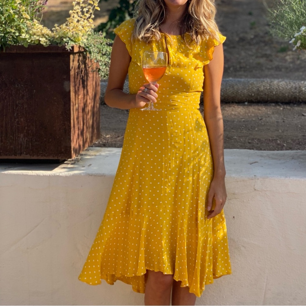 maeve polka dot dress